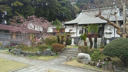 植木屋グリーンハンズ 年間剪定管理 伐採を横浜市 鎌倉市 藤沢市で